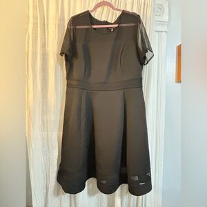 Lane Bryant Black Midi Dress with Sheer Sleeves